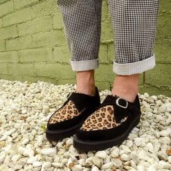 A9676 Black Suede Leopard Monk Buckle Pointed Creeper