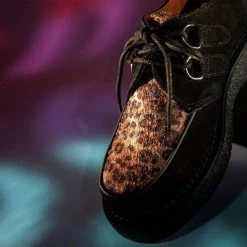 D9761 Women Black Suede & Leopard 1970 Original Creeper