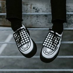 SA06 Disc Studded Shoe Apron